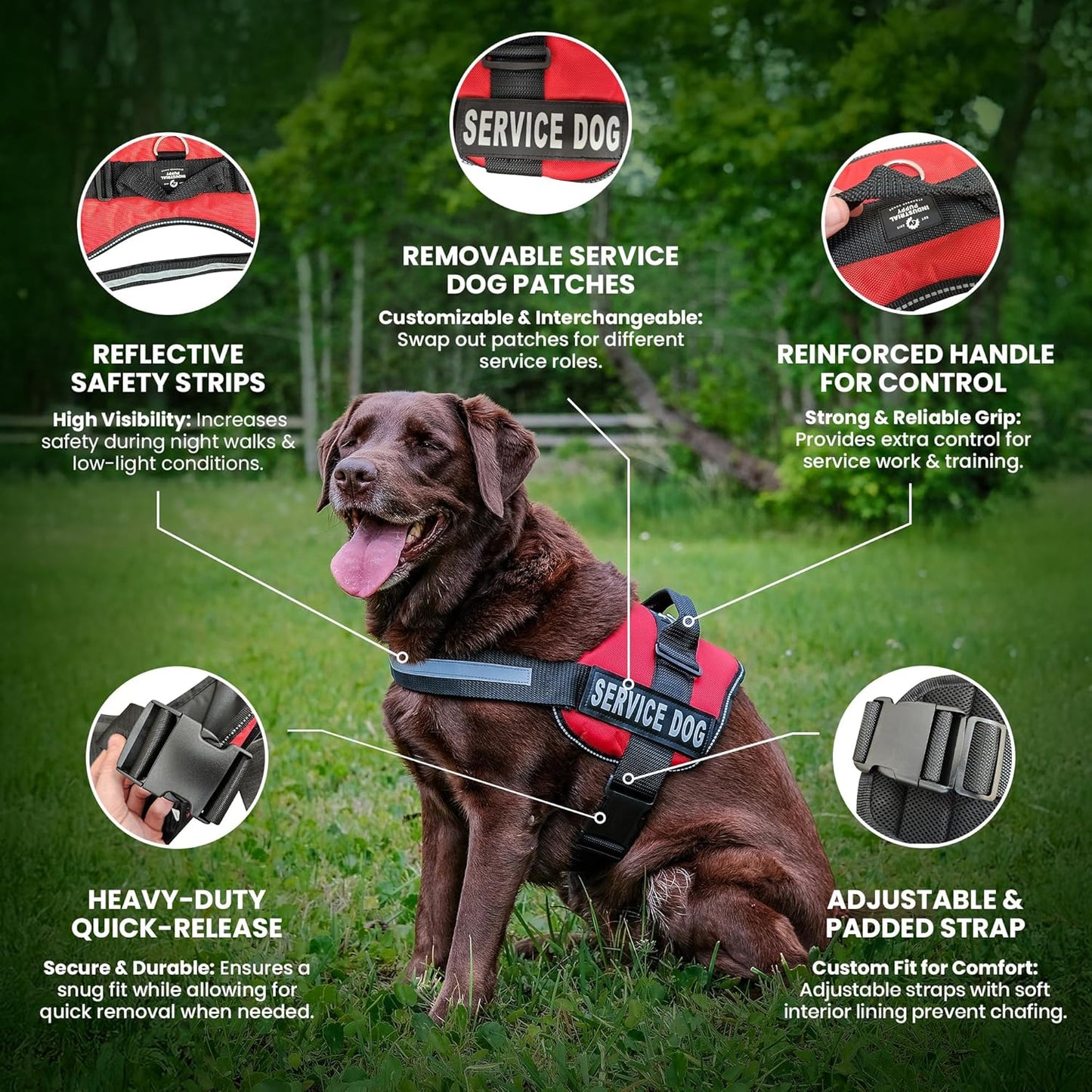 Emotional Support Vest Harness - Durable and Adjustable Dog Vest with Reflective Straps, Removable Patches, Handle & D-Ring, Travel and Daily Use, Small 19.5-25" - Bright Red
